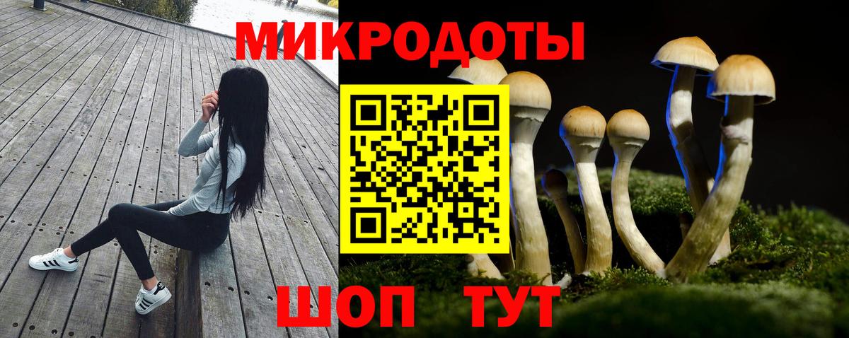 Топки  купить  сайты  Вход с VPN  Псилоцибиновые грибы ЛСД 